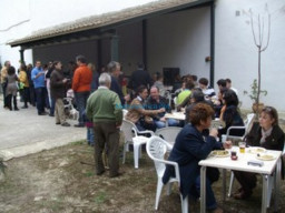 Fotos Noticias 2011